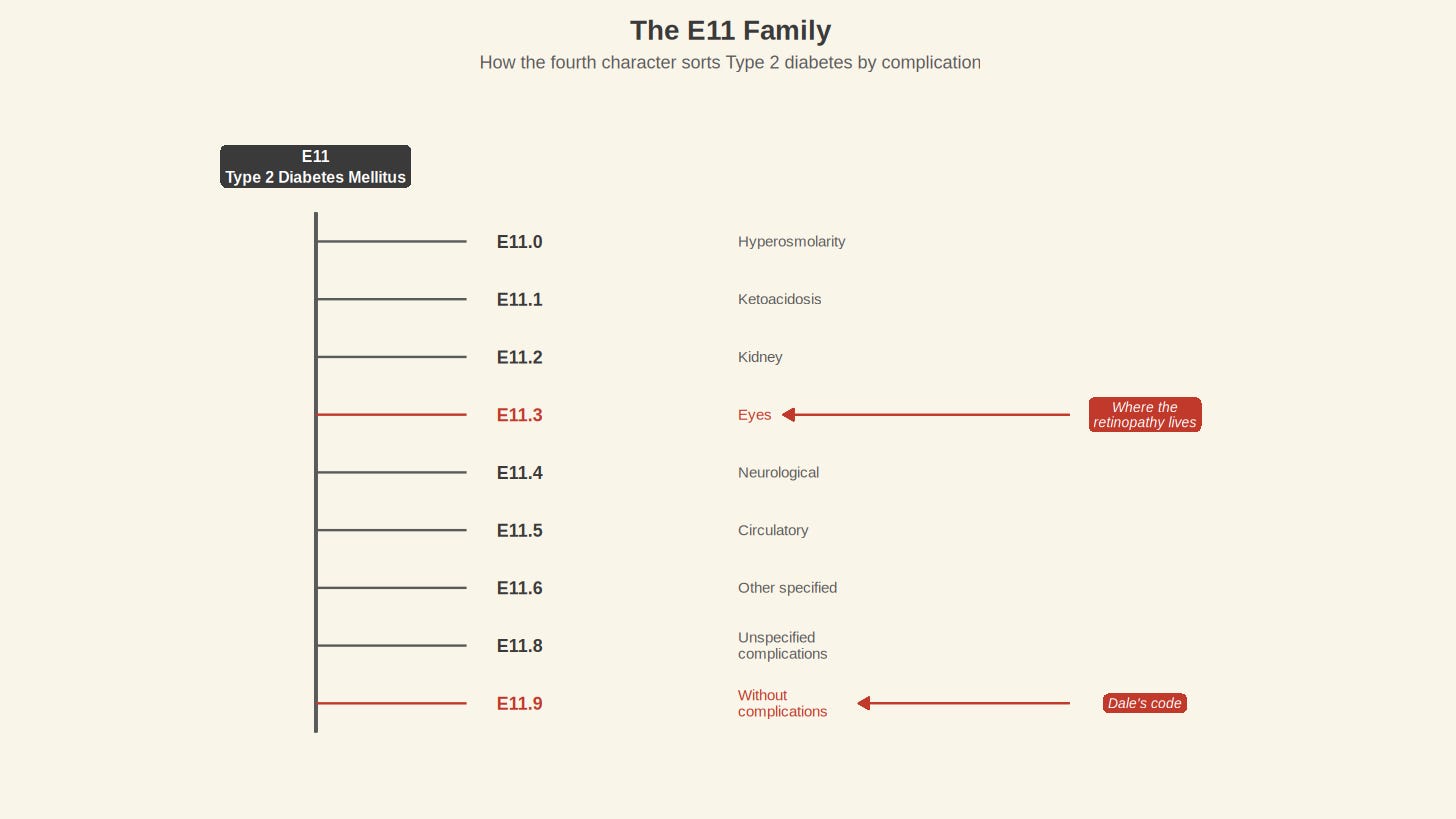 The E11 Family — How the fourth character sorts Type 2 diabetes by complication.