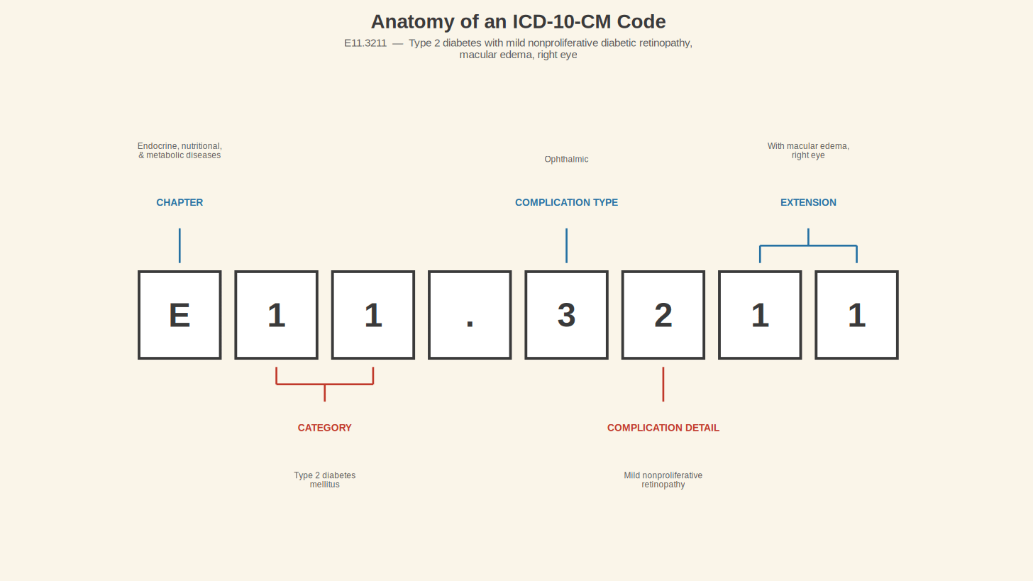 Anatomy of an ICD-10-CM Code — E11.3211, character by character.