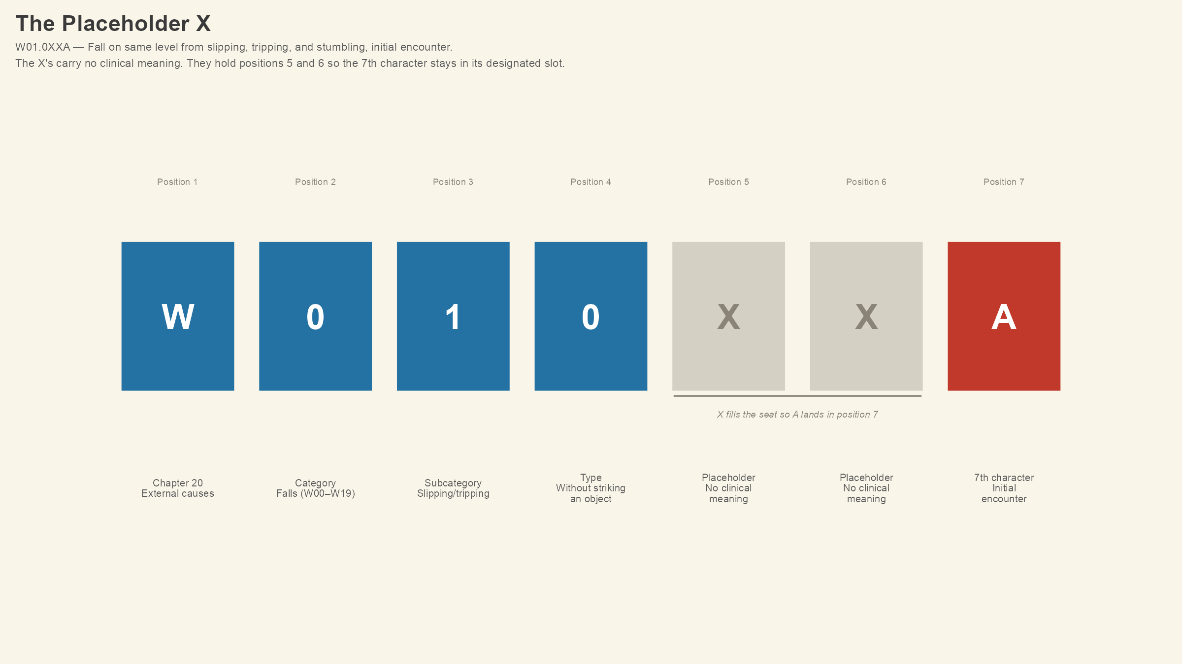 The Placeholder X — W01.0XXA, character by character. The X's carry no clinical meaning. They hold positions 5 and 6 so the 7th character stays in its designated slot.